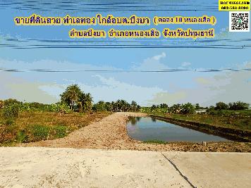 ขายที่ดินสวย ทำเลทอง ใกล้อบต.บึงบา ( คลอง 10 หนองเสือ ) ตำบลบึงบา อำเภอหนองเสือ จังหวัดปทุมธานี